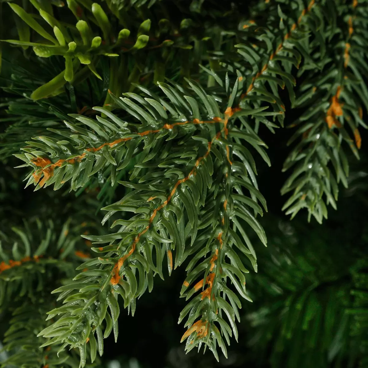 DecoWoerner Artificial Christmas Tree Colorado 1.8 M