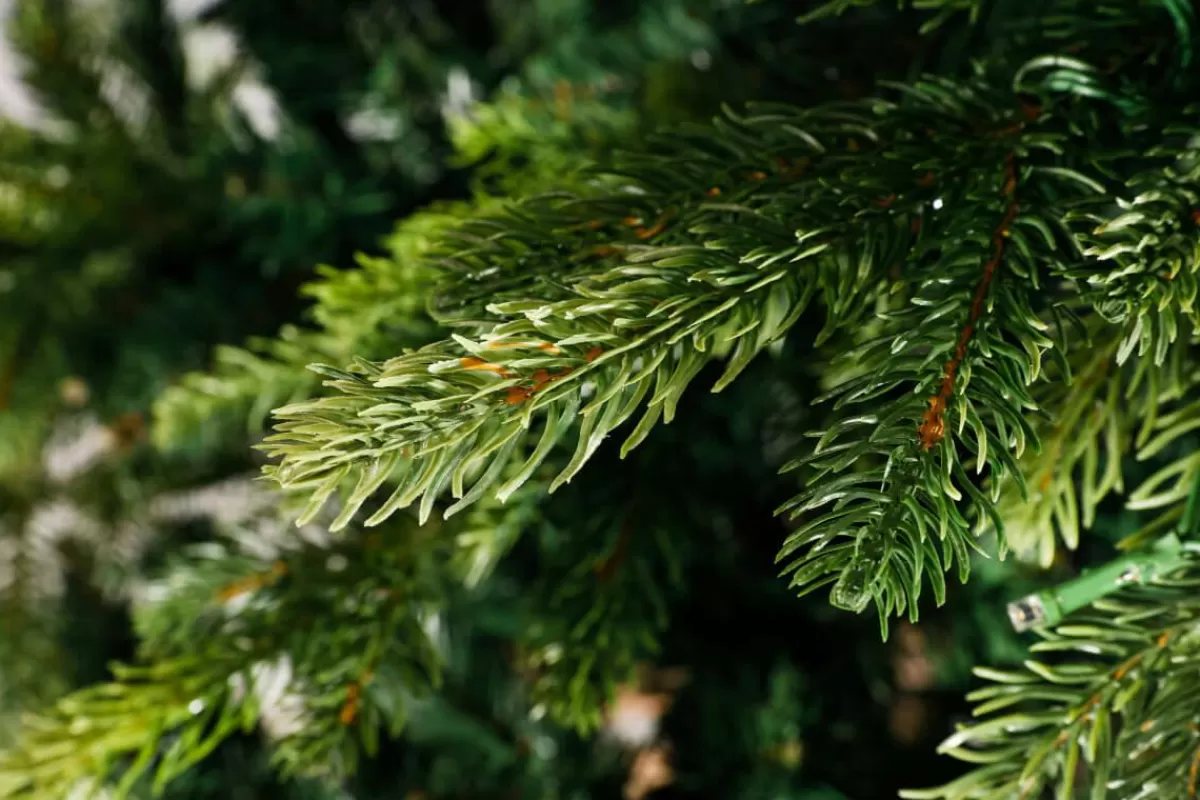 DecoWoerner Artificial Injection Moulded Christmas Tree Norway Spruce 180 Cm