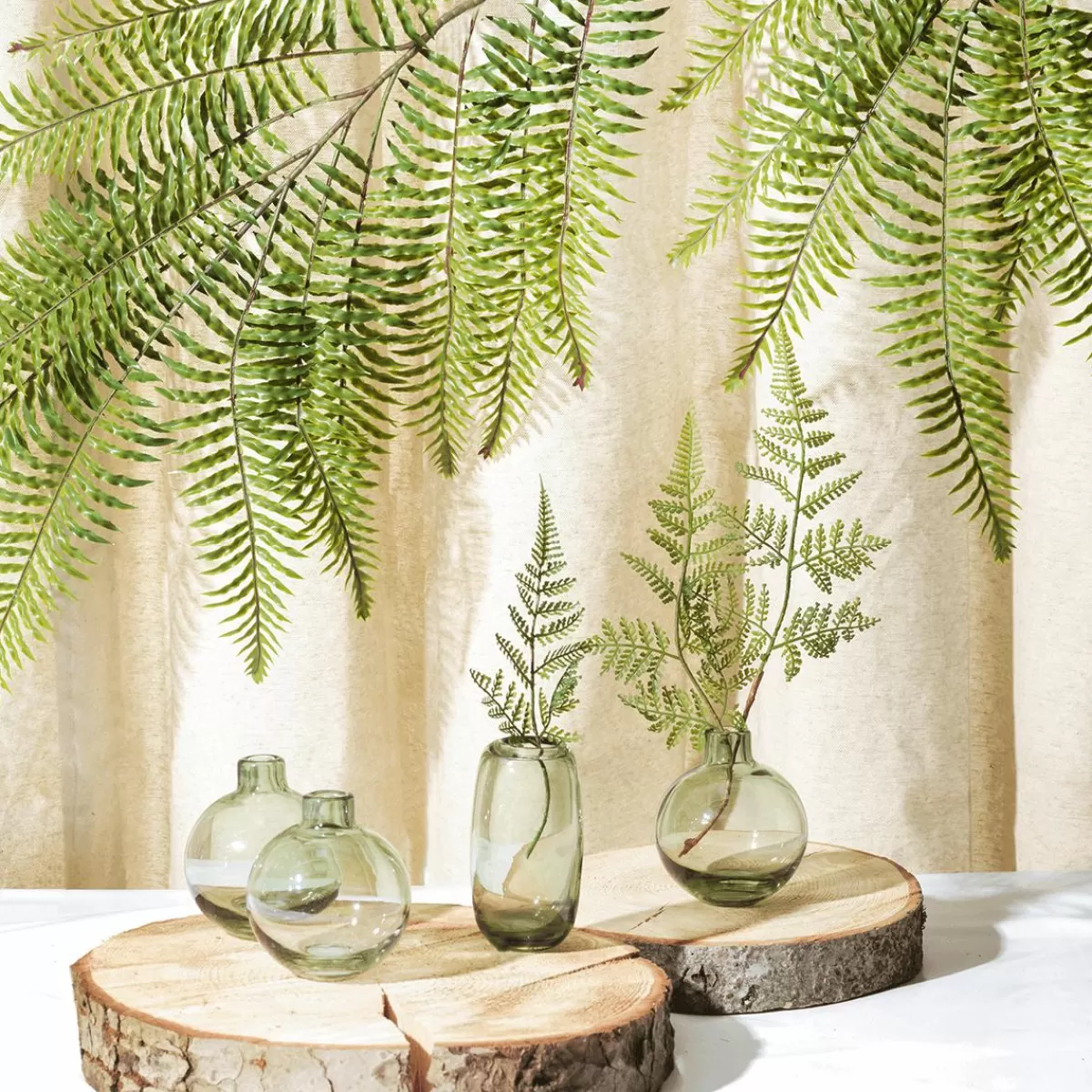 DecoWoerner Birch Disc 16 X 2cm & 15 Cm Ø Set Of 3