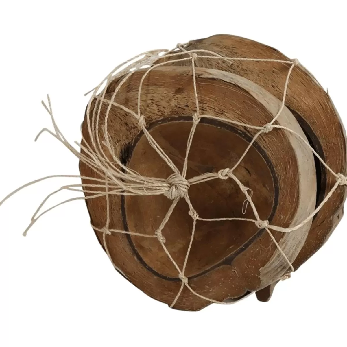 DecoWoerner Coconut Halves 20 Cm Ø, 2 Pieces