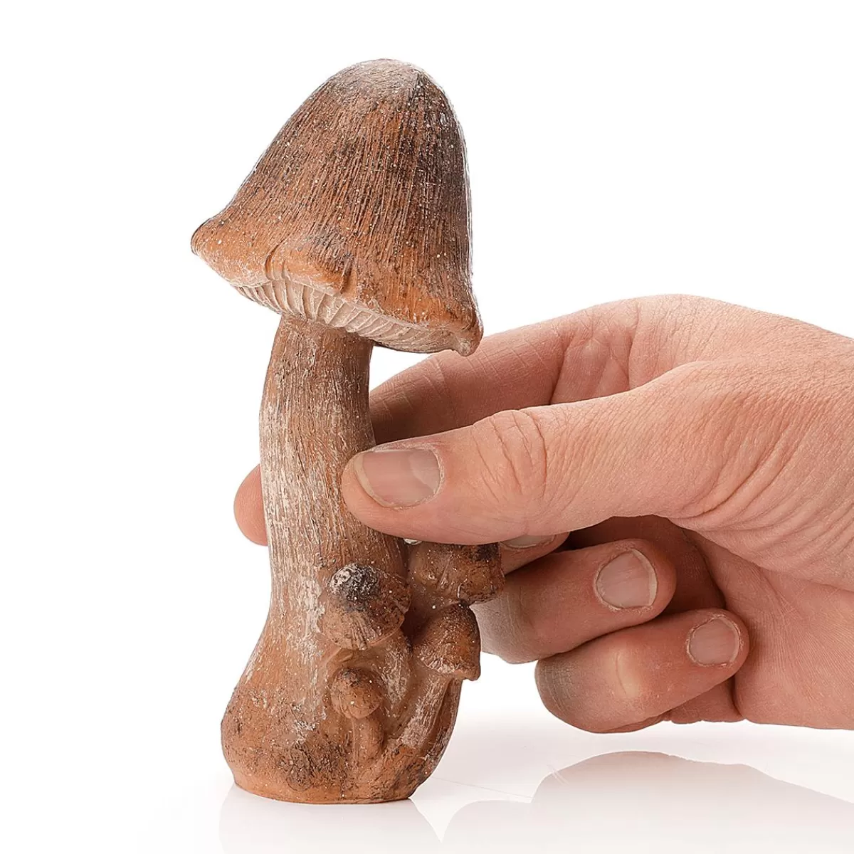 DecoWoerner Deco Mushroom 15 Cm High, 6 Cm Ø With 4 Small Mushroom Newcomers