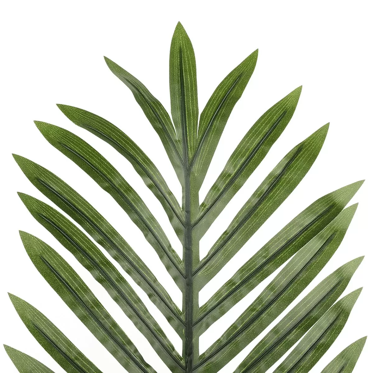DecoWoerner Decorative Areca Palm Leaf, Length 58 Cm, 3 Pcs