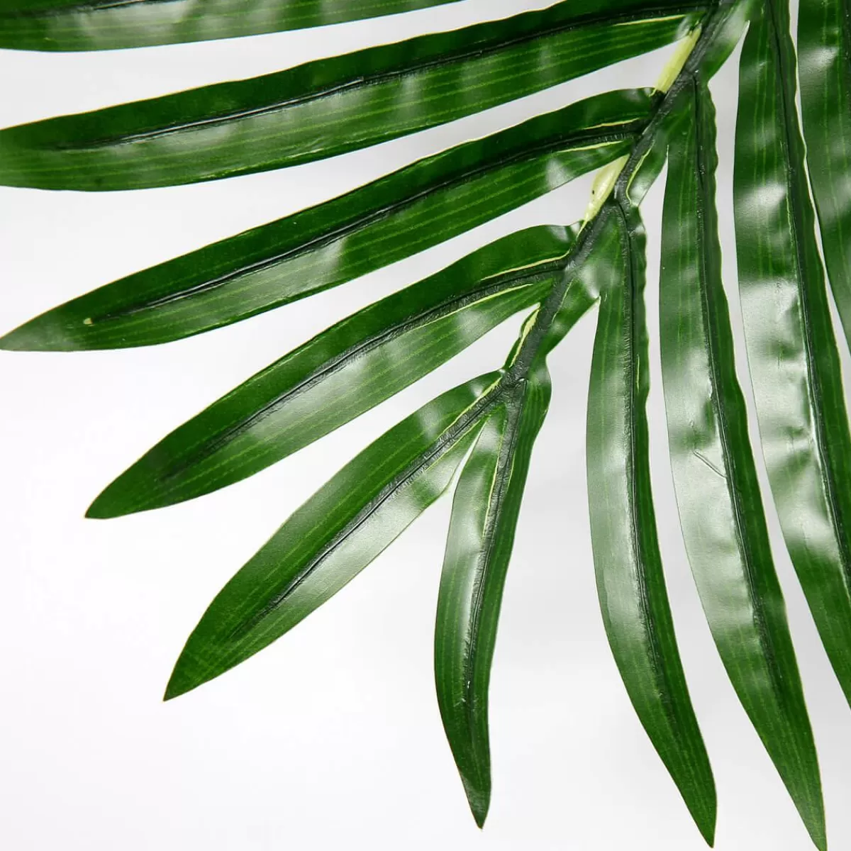 DecoWoerner Decorative Areca Palm Leaf, Length 98 Cm