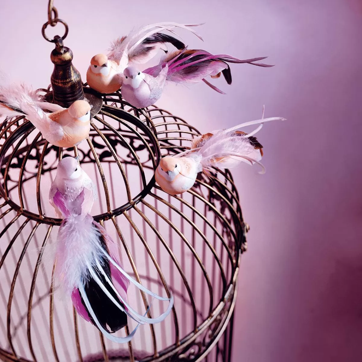 DecoWoerner Decorative Birds 10 Cm, 6 Pcs