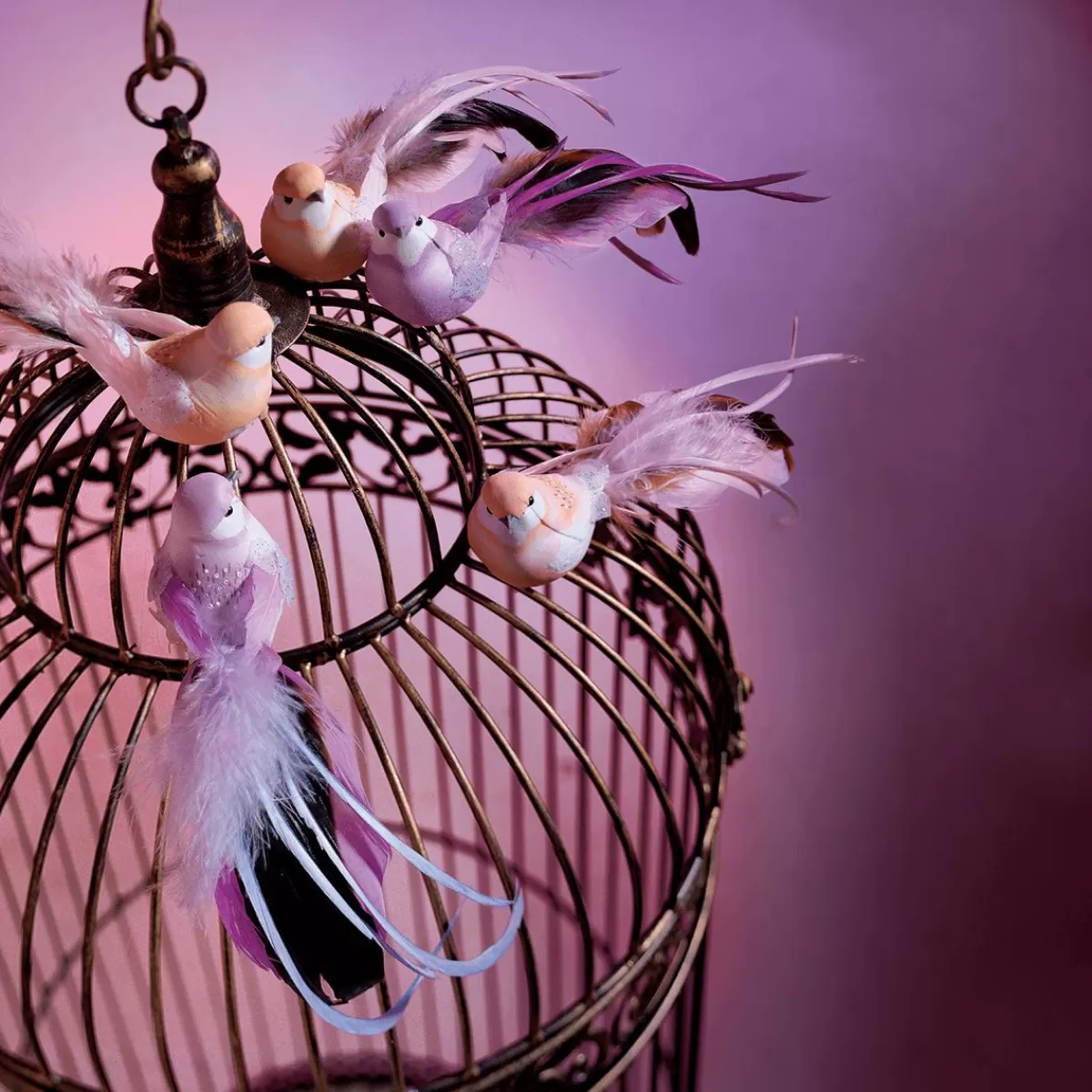 DecoWoerner Decorative Birds 10 Cm, 6 Pcs
