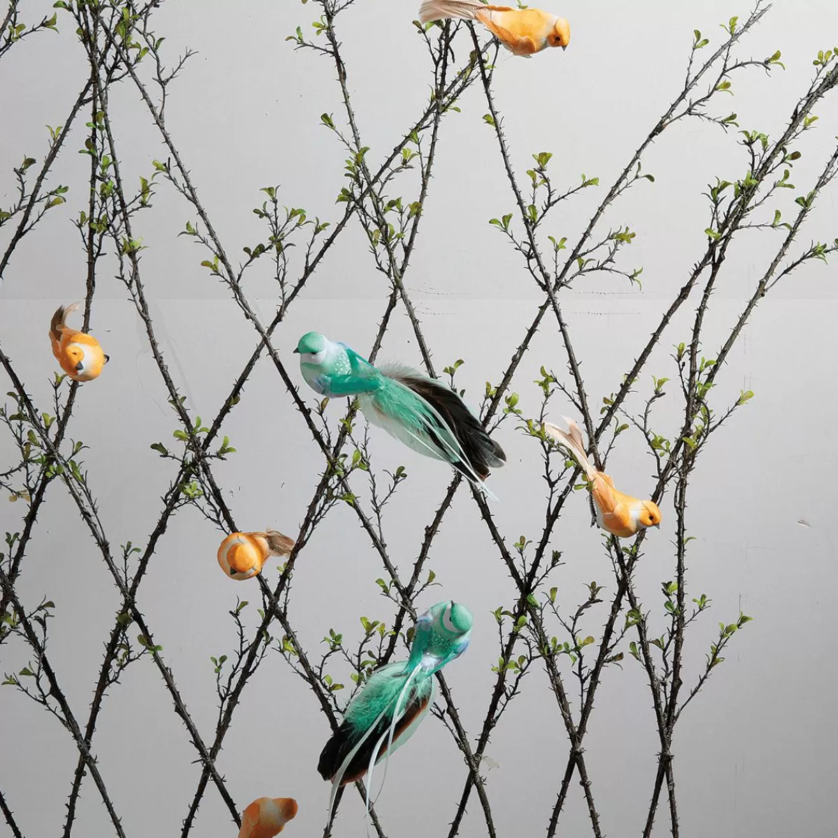 DecoWoerner Decorative Birds 10 Cm, 6 Pcs