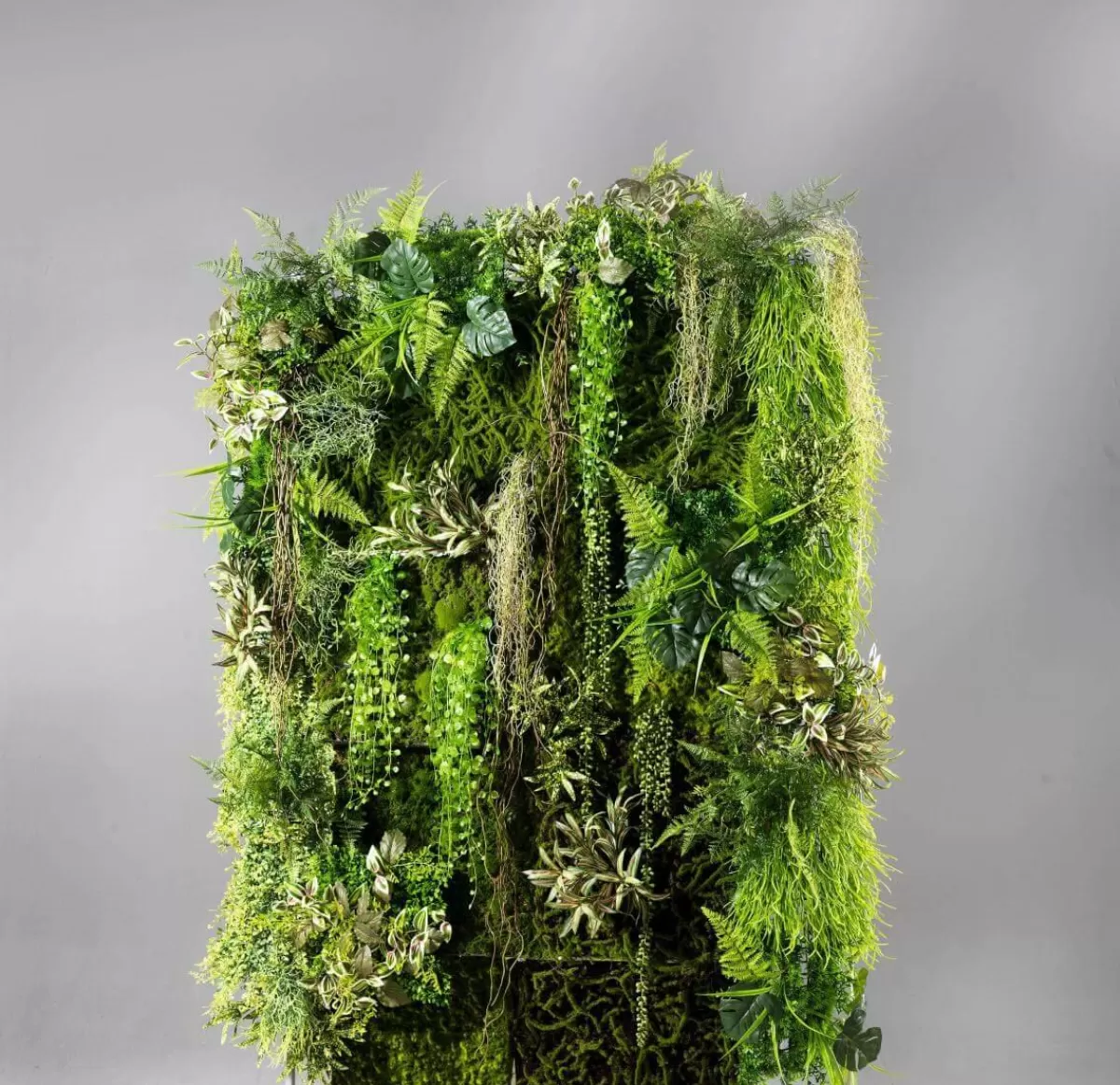 DecoWoerner Decorative Metal Frame, 200 Cm High