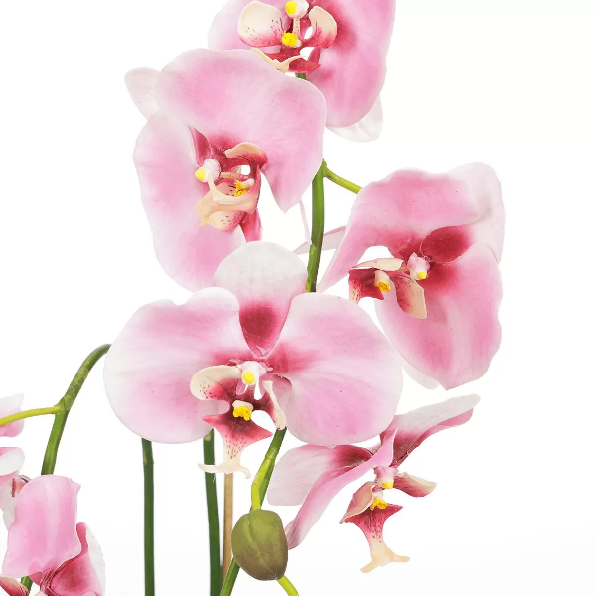 DecoWoerner Decorative Orchid In Pot 80 Cm