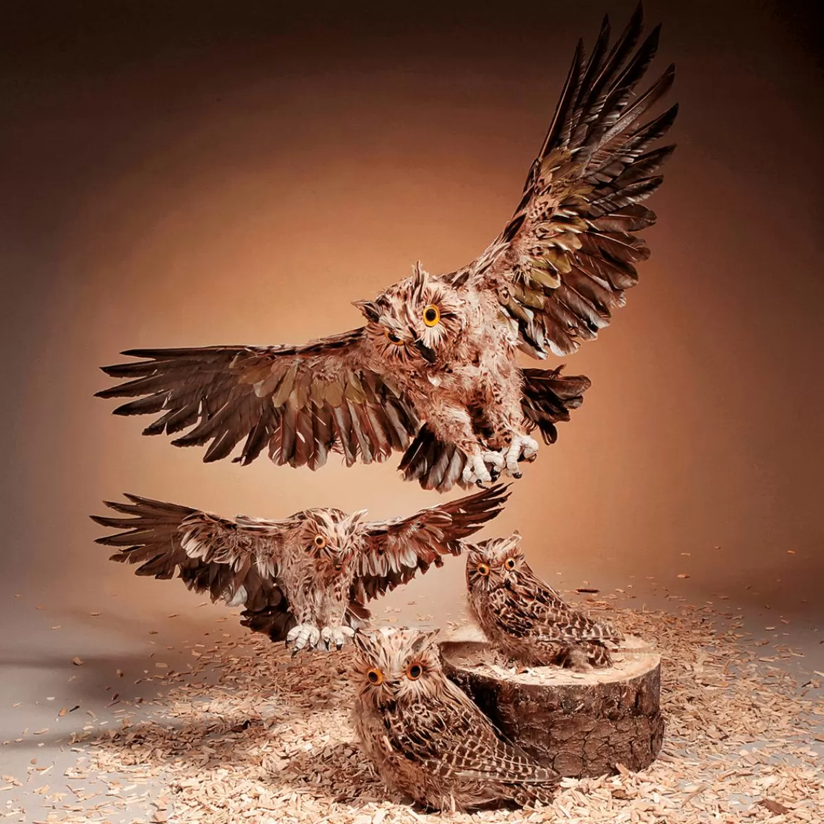 DecoWoerner Decorative Owl Sitting, , Height 31 Cm