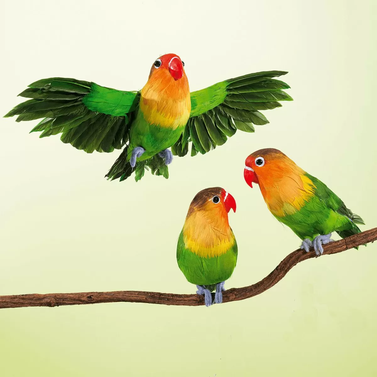 DecoWoerner Decorative Rosy-faced Parrot Sitting 20 Cm, 2 Pcs