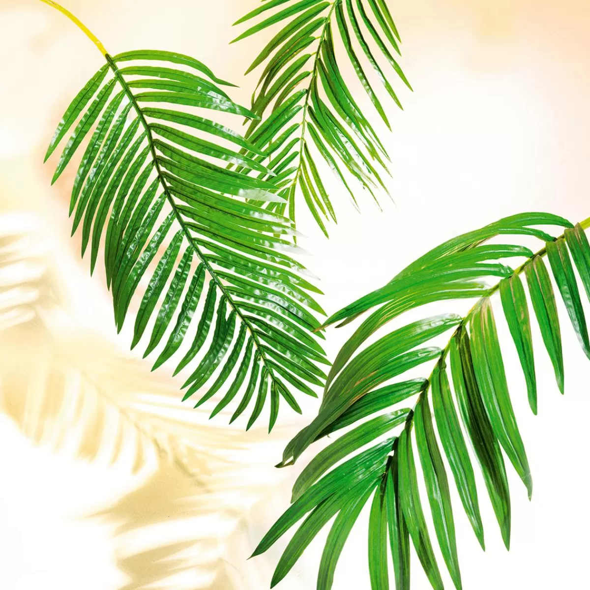 DecoWoerner Decorative Royal Palm Branch, Length 180 Cm