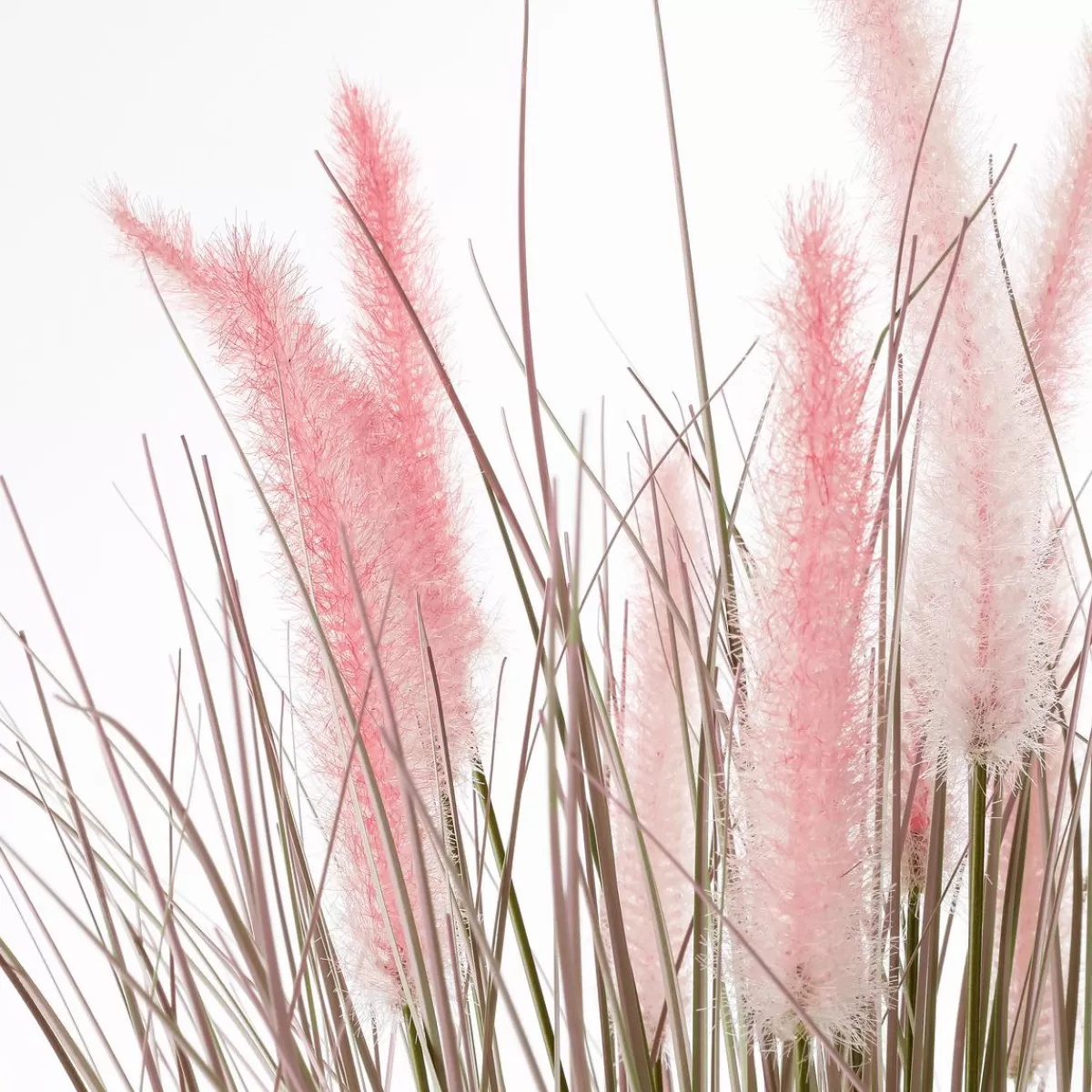 DecoWoerner Foxtail Artificial Grass In Zinc Pot 20 X 70 Cm
