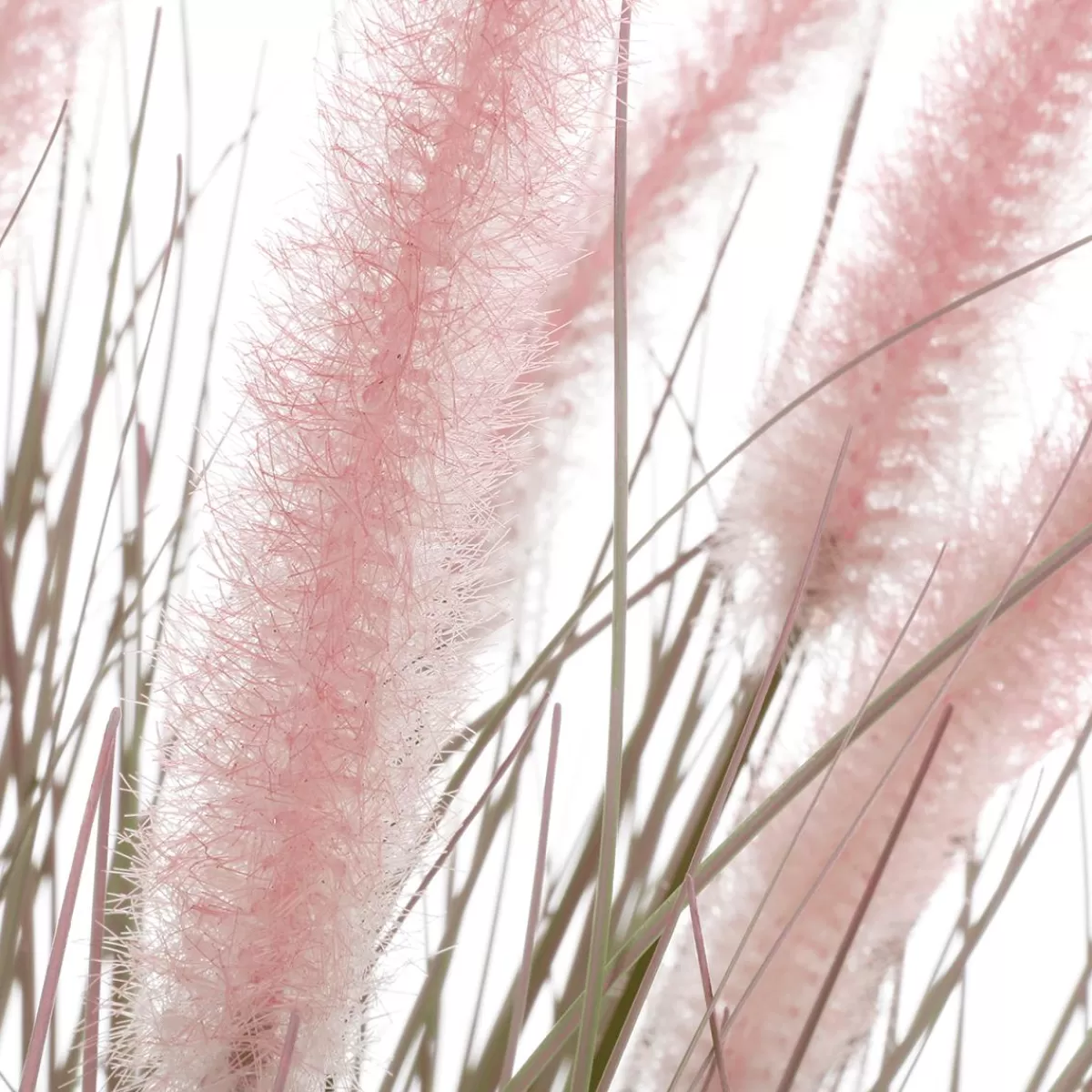 DecoWoerner Foxtail Artificial Grass In Zinc Pot 20 X 70 Cm