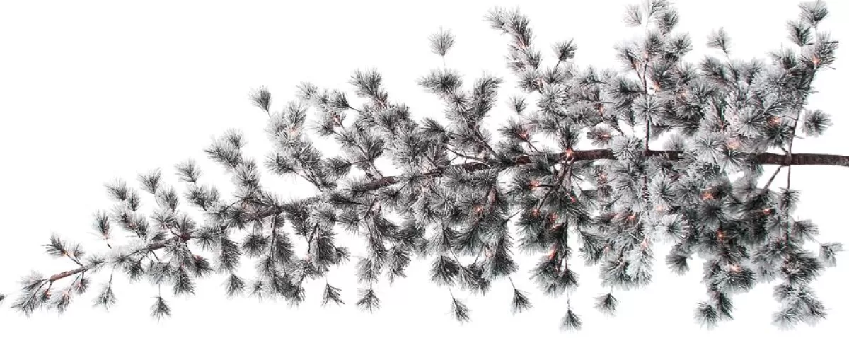 DecoWoerner Hanging Artificial Christmas Tree Pine With Frosted Needles And LED 300 Cm