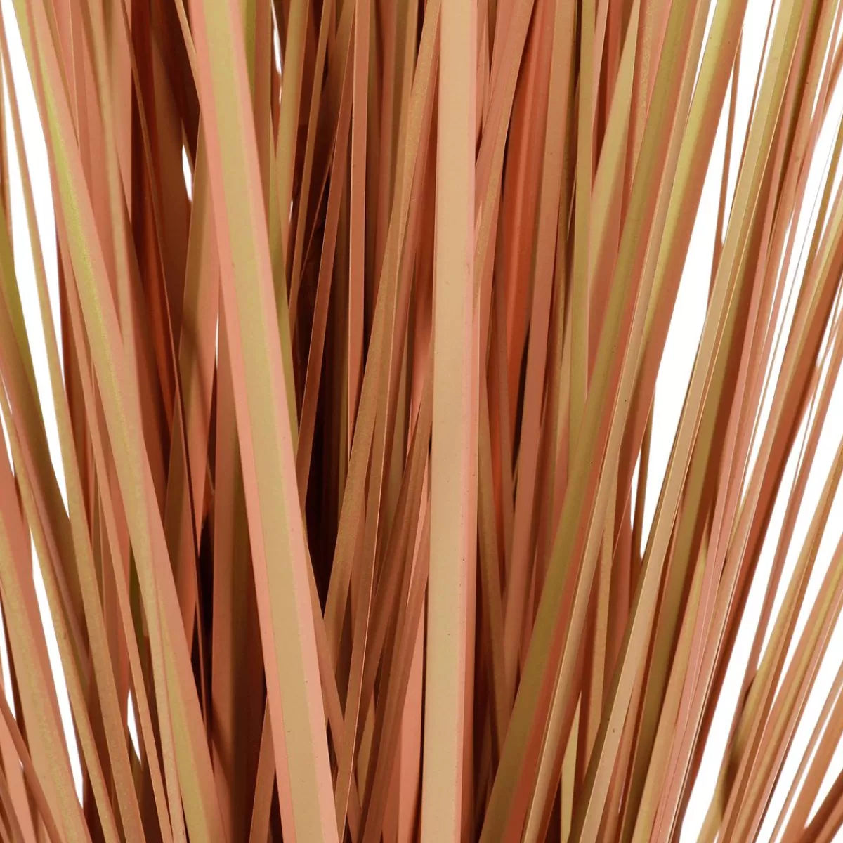 DecoWoerner Coloured Decorative Pampas Grass In Black Pot 117 Cm
