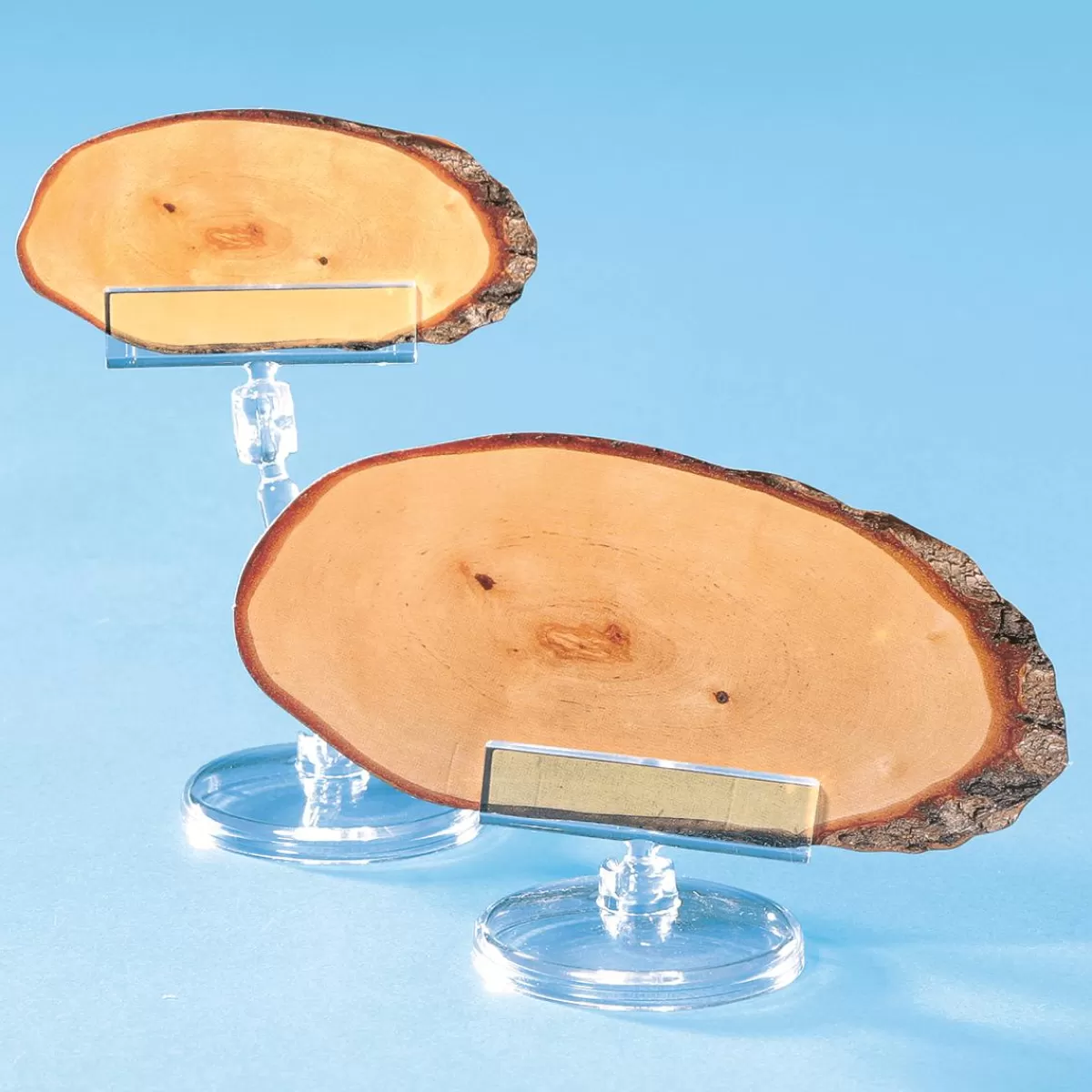 DecoWoerner Price Tag Holder With Insert, Height 4 Cm